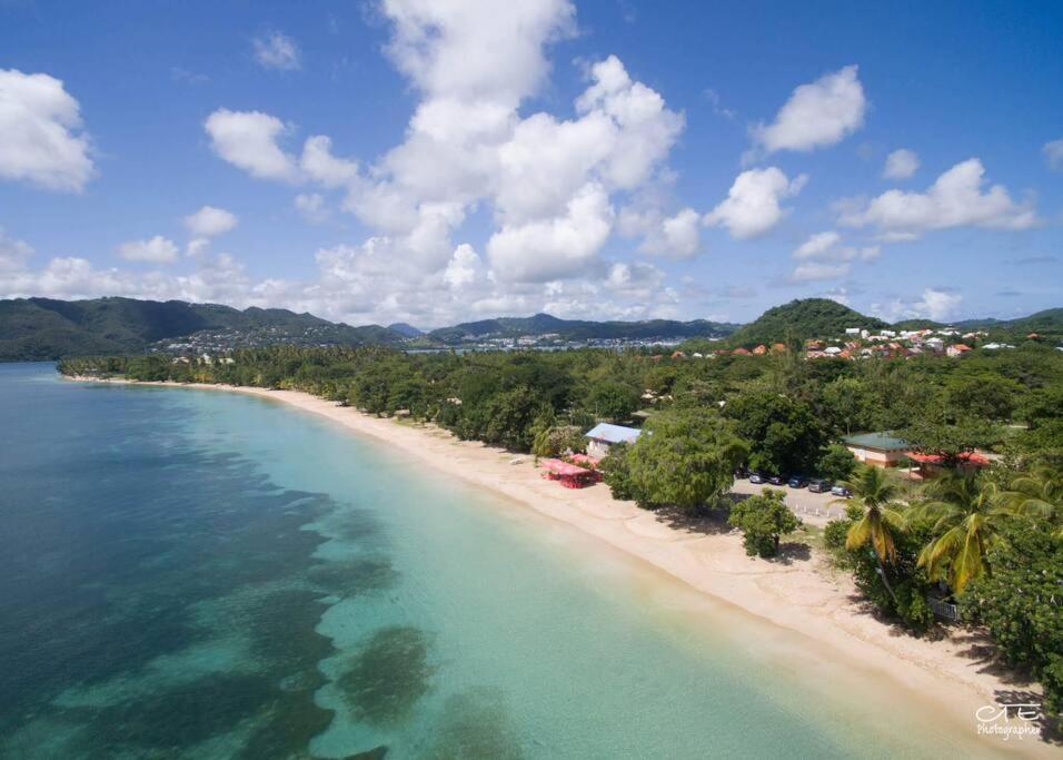 Maison Authentique A 300M De La Plage サンタンヌ エクステリア 写真